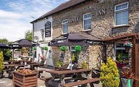 White Hart Llandeilo